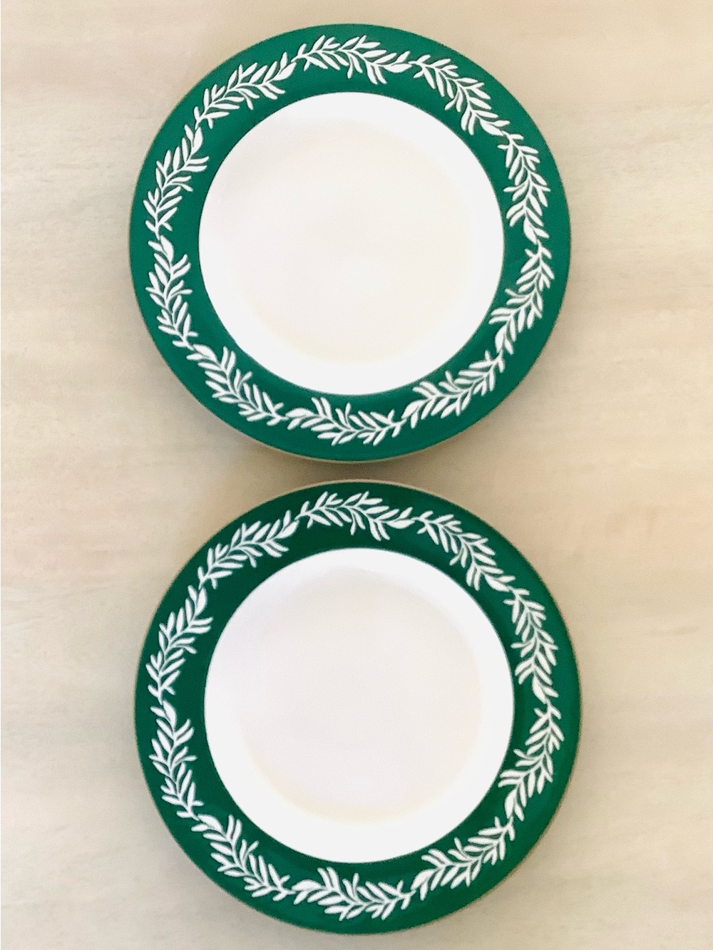 2 Threshold 10.75” Leaf Border Stoneware Dinner Plates